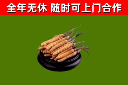 申扎县烟酒回收冬虫夏草.jpg